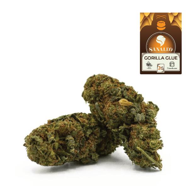 CBD-Blüten Gorilla Glue 2g 0,0% THC