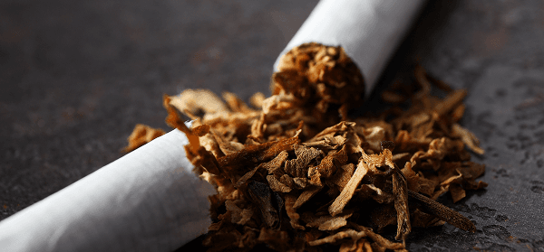 Zwei zerbrochene Zigaretten liegen auf dunklem Asphalt, eine davon in Stücke zerbrochen, mit weißen Filtern und verstreuten braunen Tabakresten.