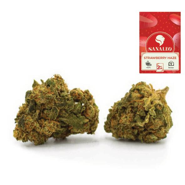 CBD-Blüten 0,0 % Strawberry Haze 2 g 1 Packung