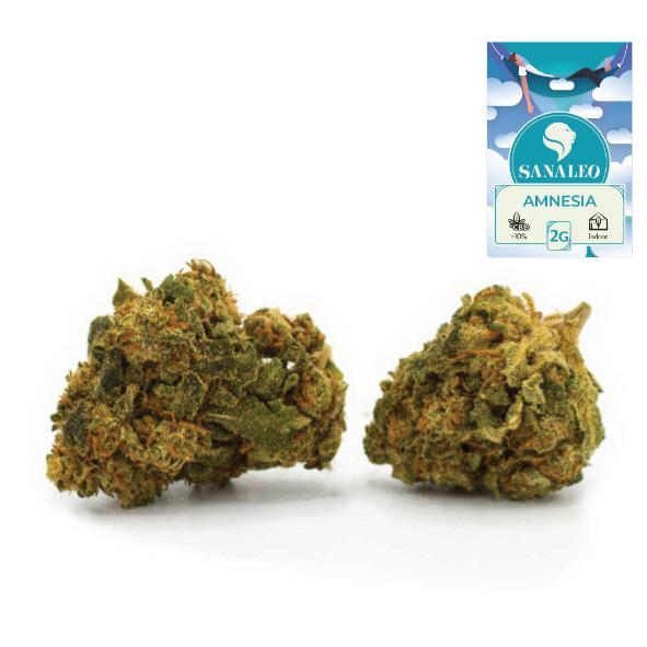 CBD-Blüten 0,0 % Amnesia Haze 2g 1 Packung