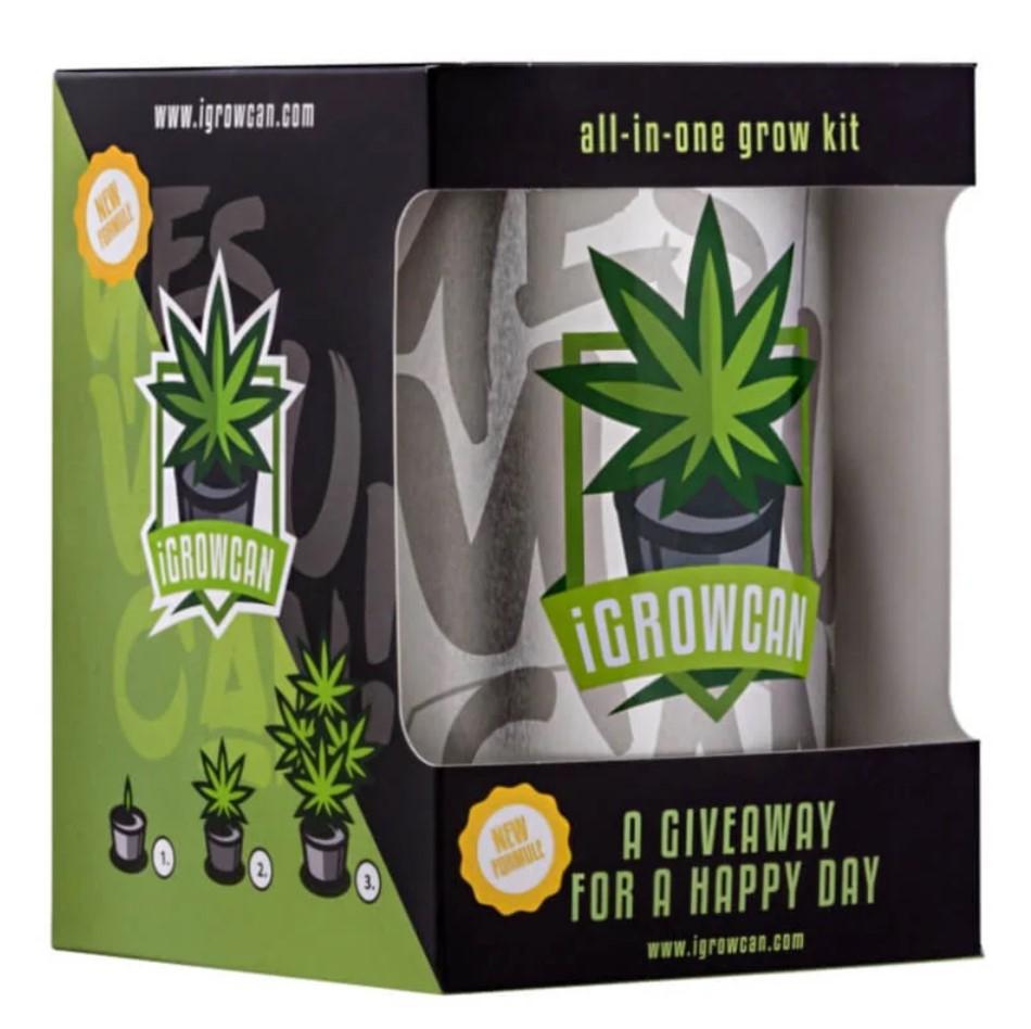 Das Cannabis Samen Anzuchtset iGrowCan Northern Light, ein All-in-One Anzuchtset in schwarzer Verpackung.