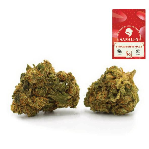 CBD-Blüten Strawberry Haze 1g 0,0% THC