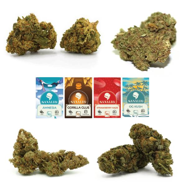 CBD Blüten Probierpaket 1 Packung