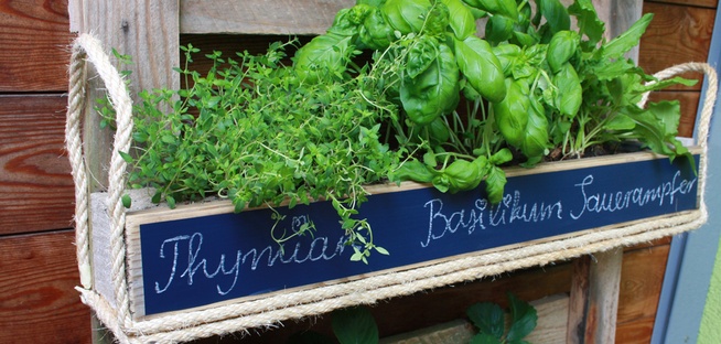 Vertical gardening im Vintage-Stil: Kräuterbeet selbst gebaut