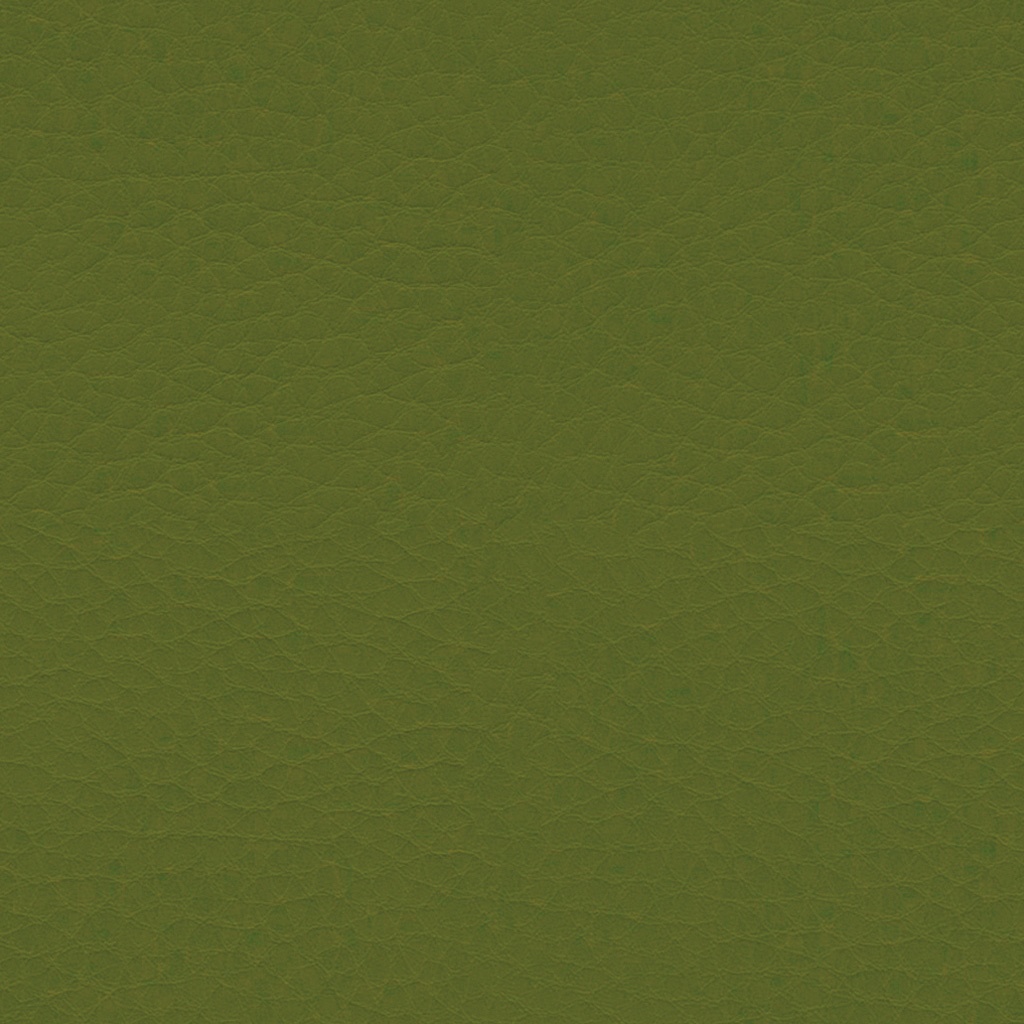 GO IN Stoffkonzept Parotega Vert olive