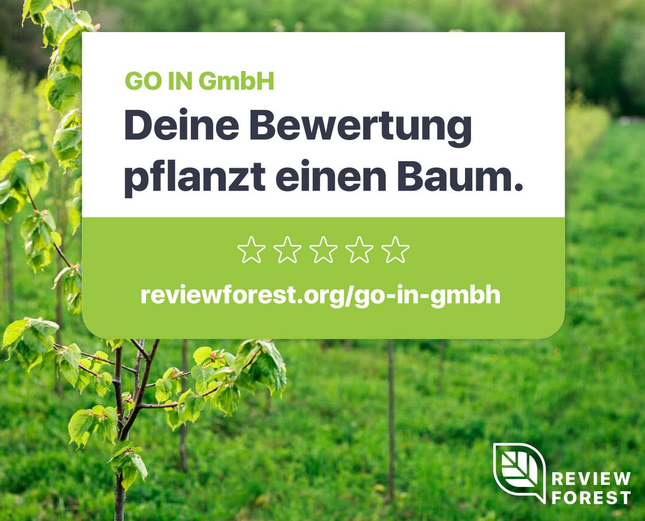 GO IN Nachhaltigkeit Review Forest