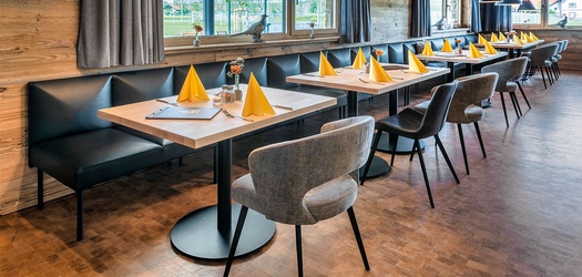 GO IN x Zum Vogelherd