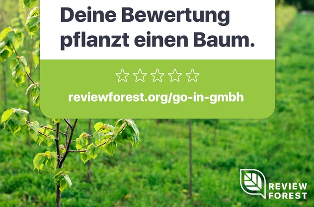 GO IN Review Forest