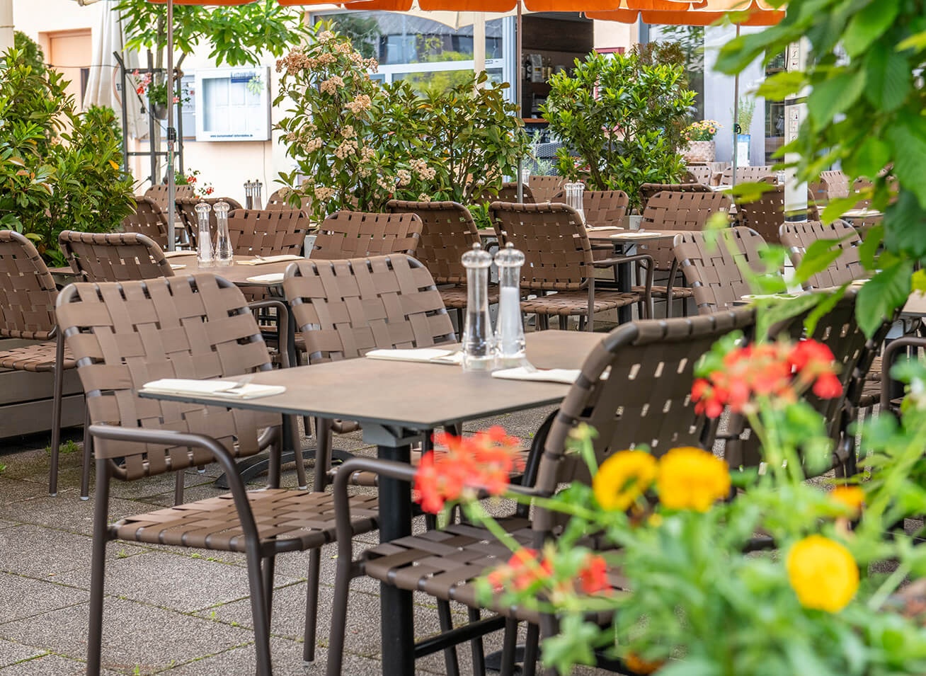 GO IN Referenz Il Castagno