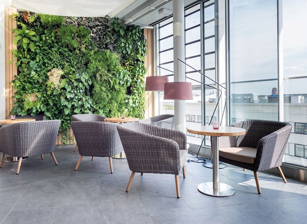 GO IN references | ALEX