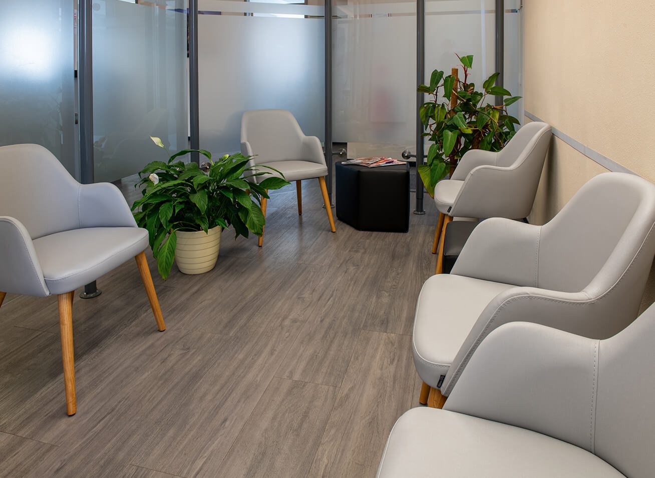 GO IN Referenz Praxis Dr. Buchholz