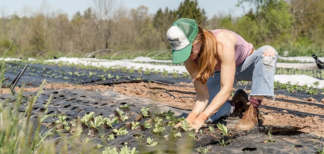 Open Fire Cooking: Der Foodtrend für den Sommer und darüber hinaus