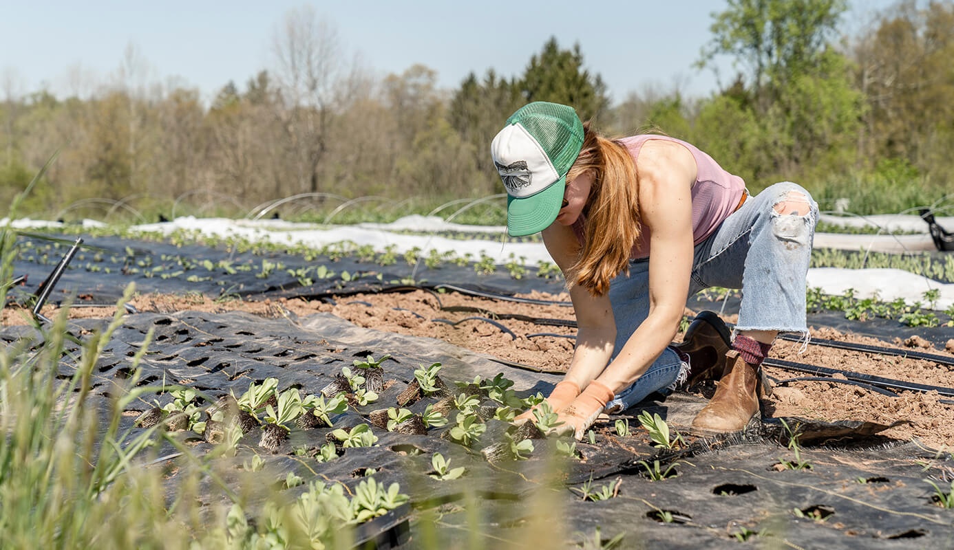 Regenerative Food: Wie Gastronomien mit dem neuen Trend umwelt- und klimafreundliche Kreisläufe schließen