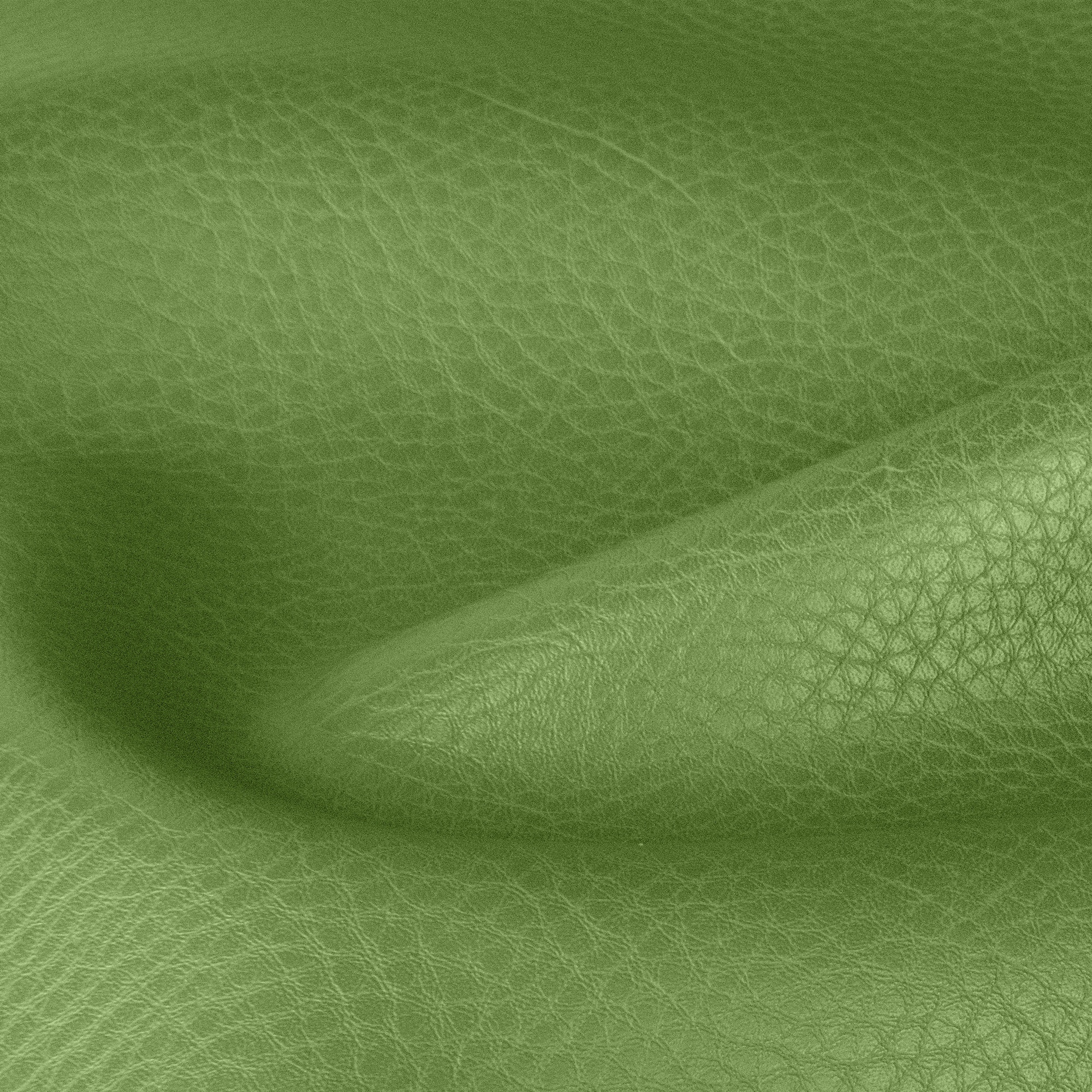 Olivgrün