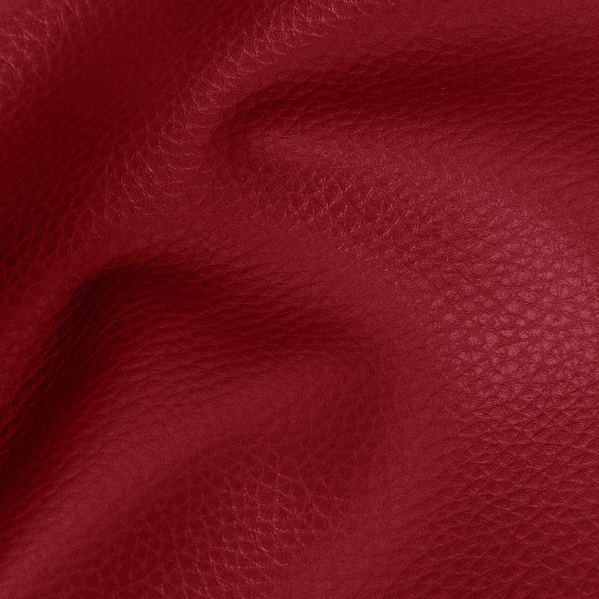 Rot