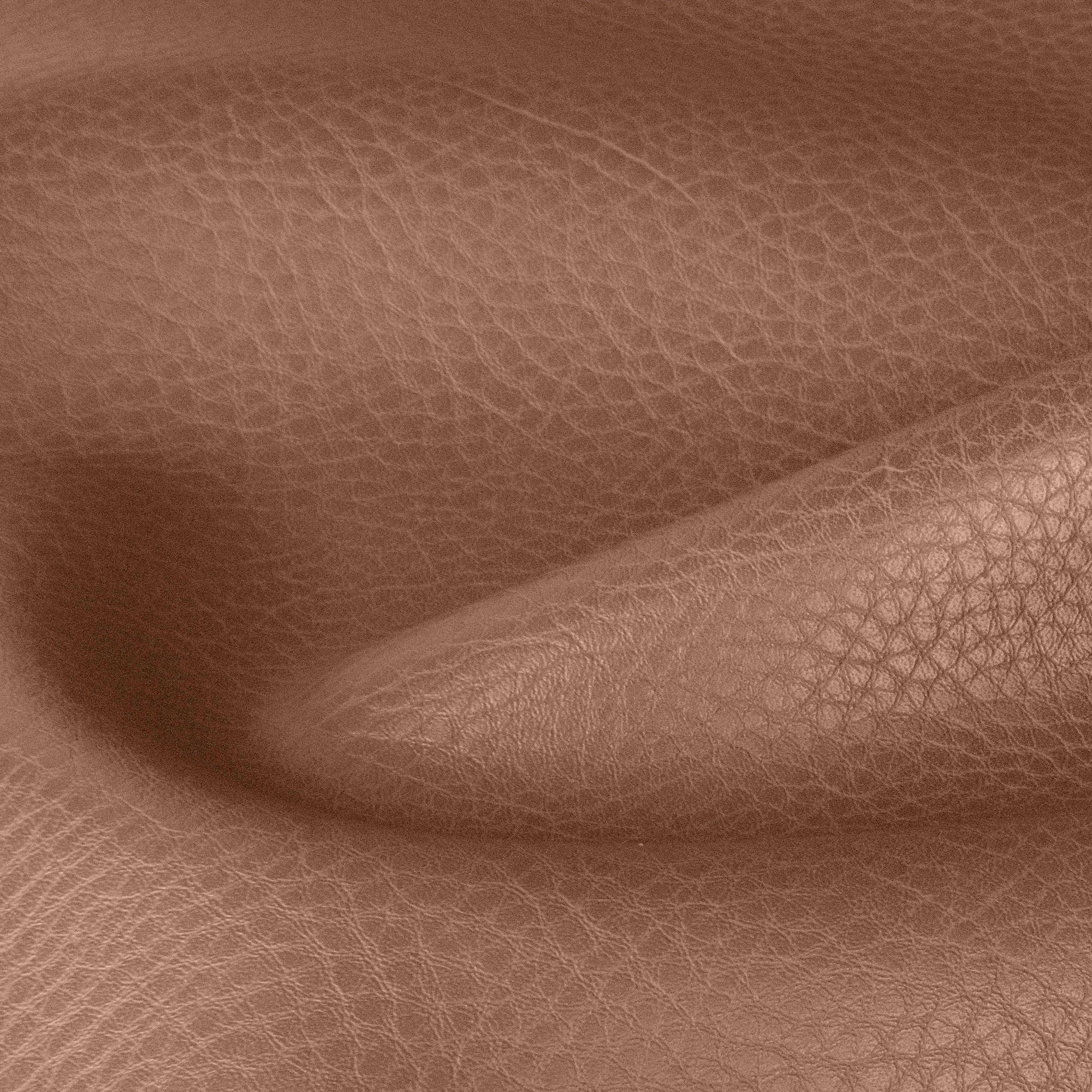 Cashmere