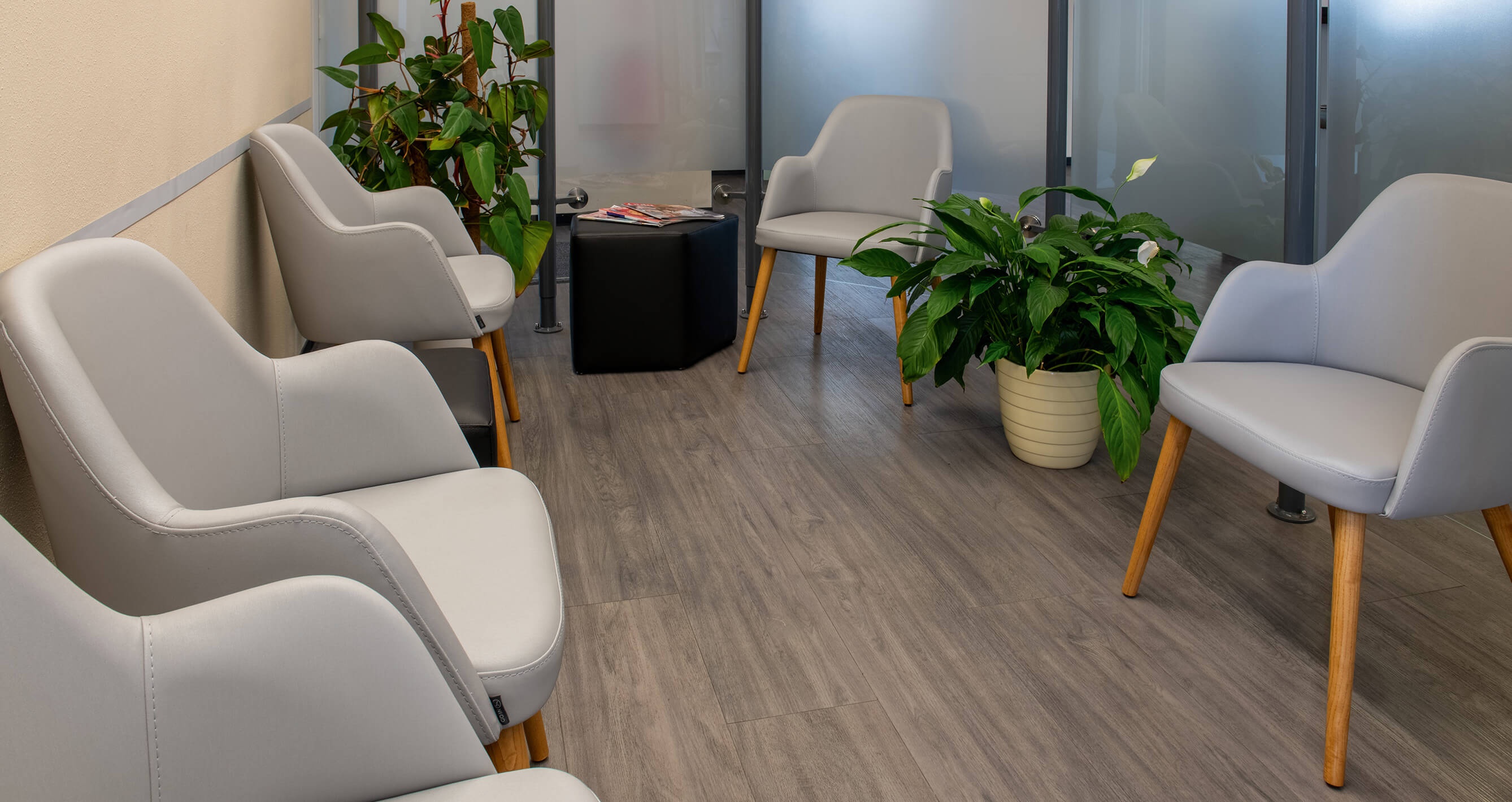 GO IN Referenz Praxis Dr. Buchholz