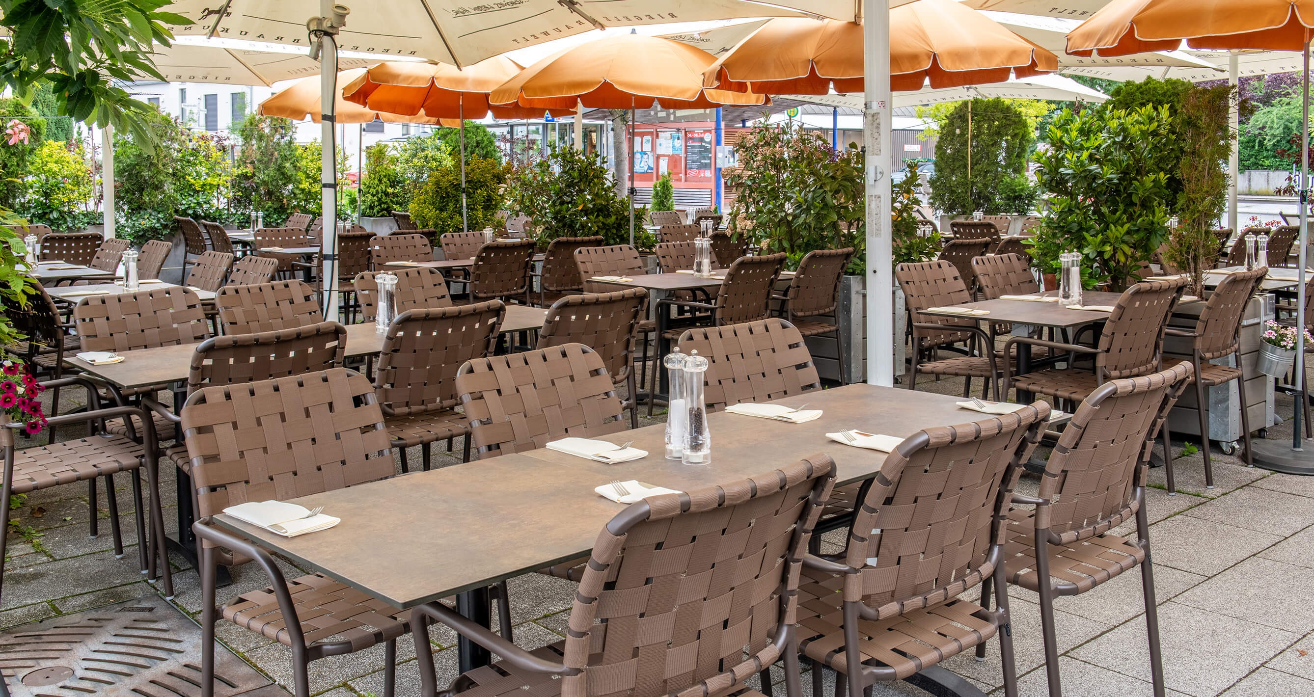 GO IN Referenz Il Castagno