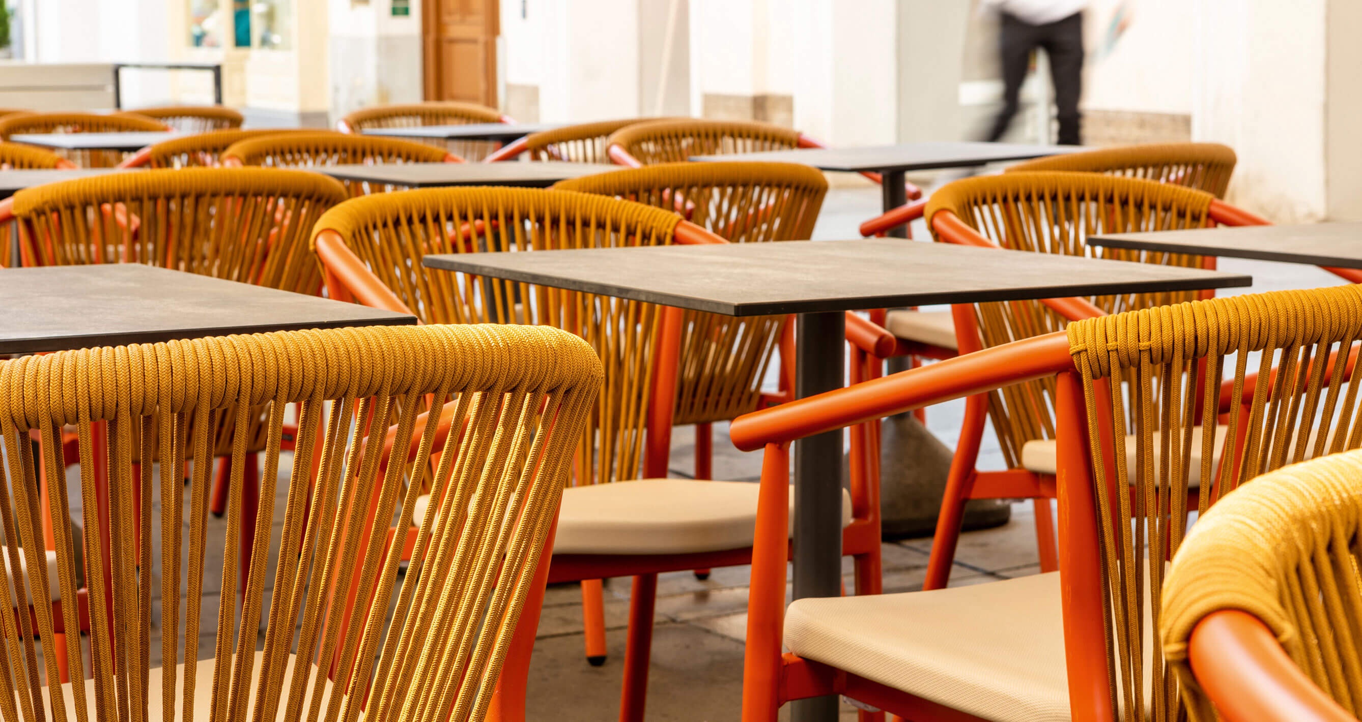 GO IN Referenz Rinderwahn