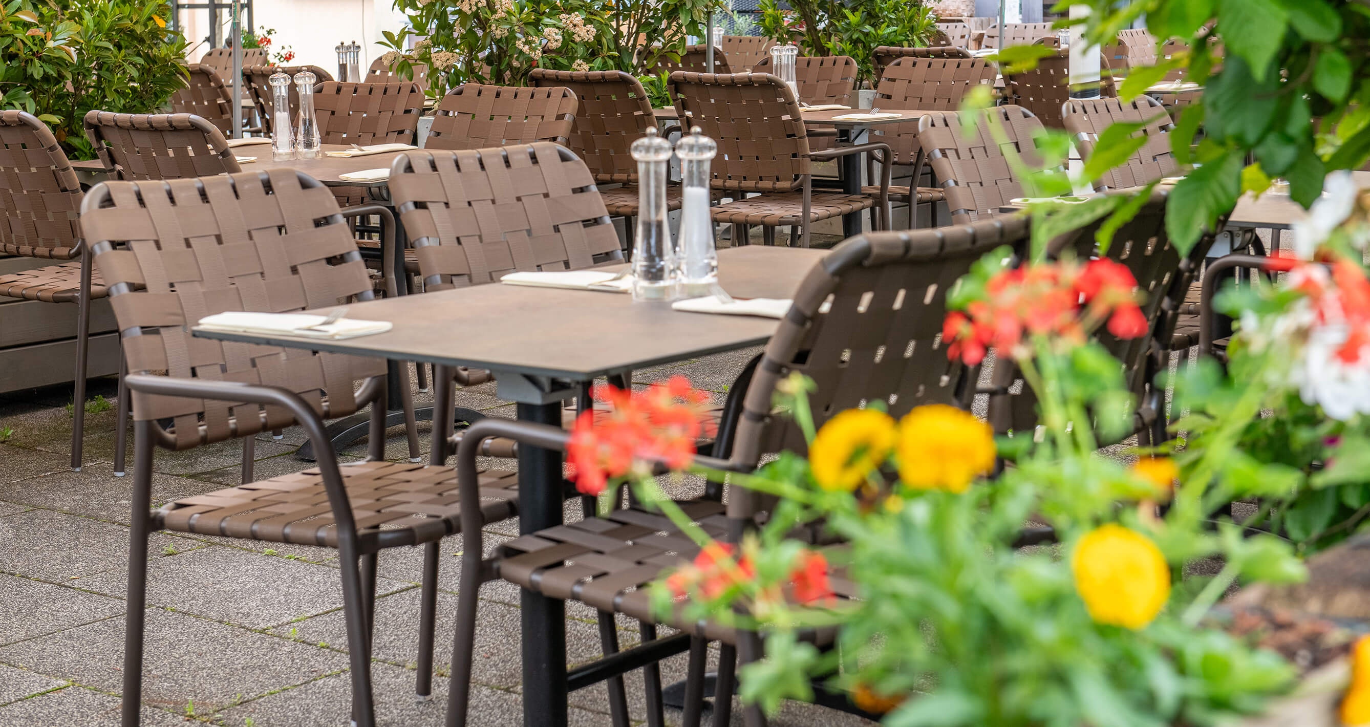 GO IN Referenz Il Castagno