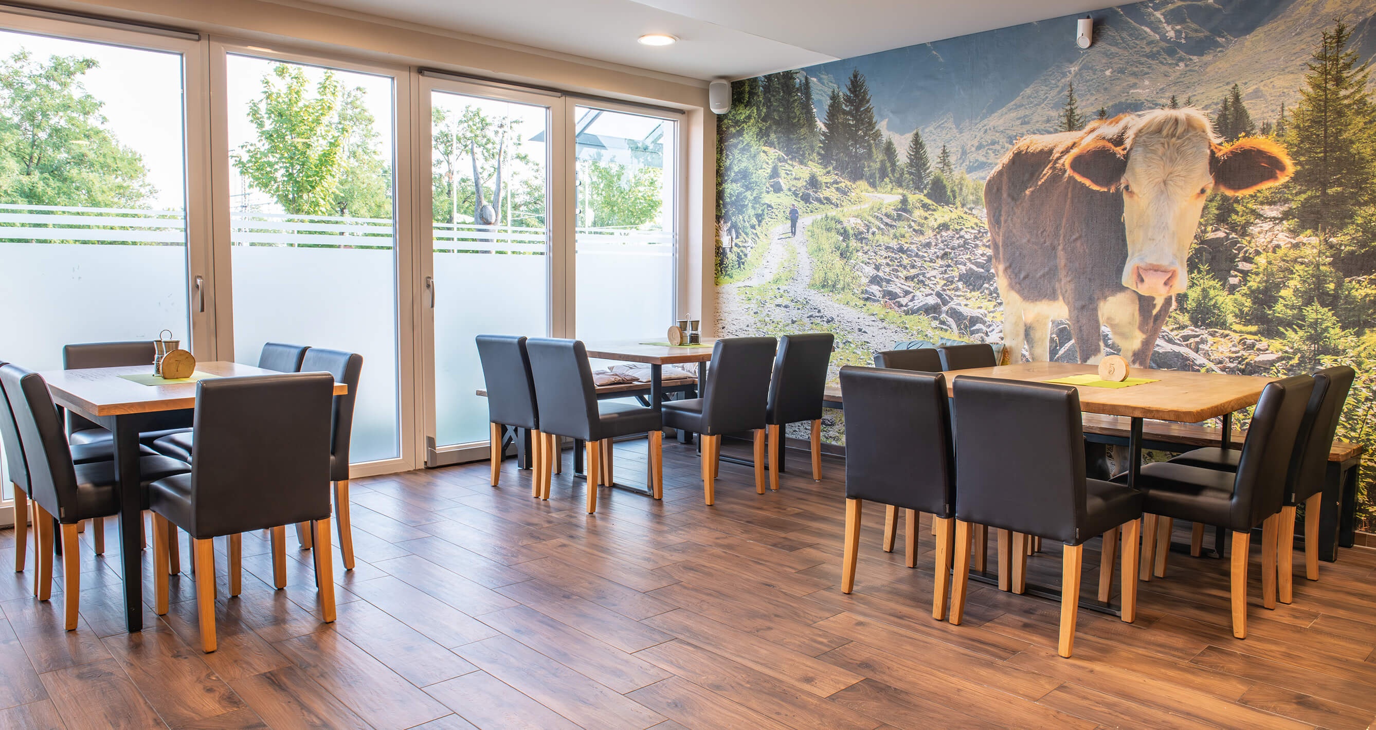 GO IN Referenz Edelweiss