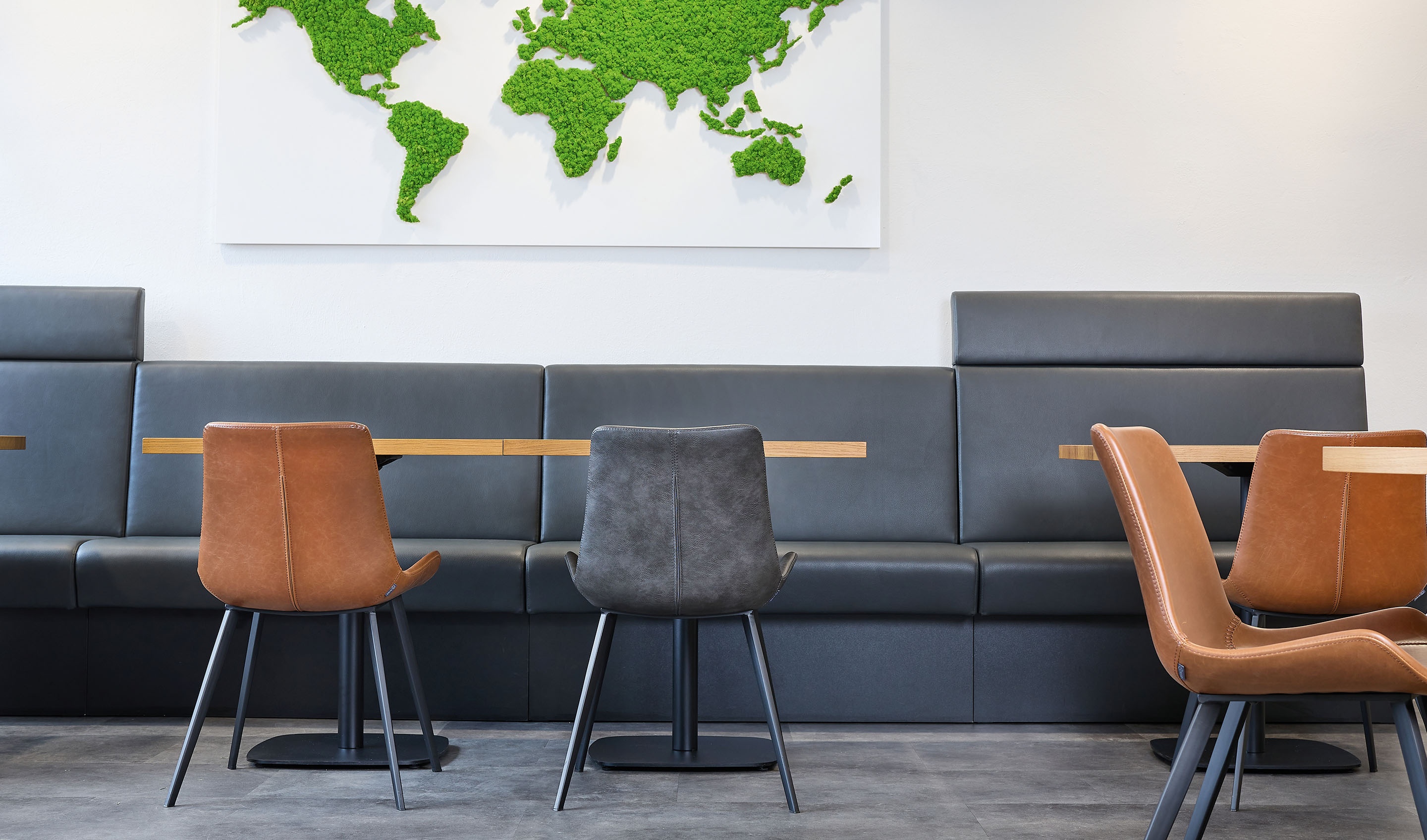 image content desktop anett