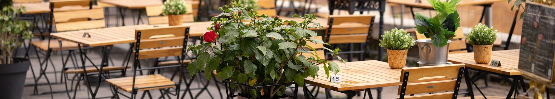 GO IN Referenz Fleur de Sel