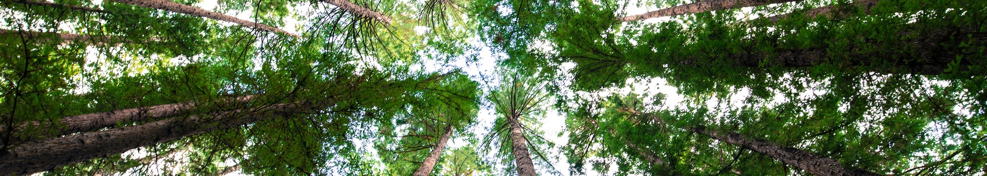 hero content desktop nachhaltigkeit