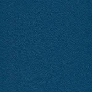bleu foncé