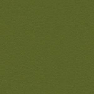 vert olive