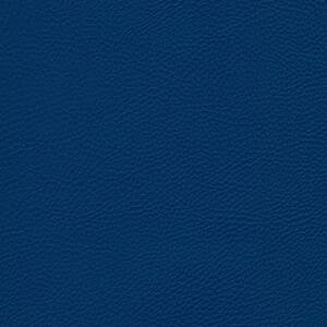 bleu foncé