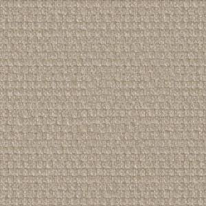 taupe clair