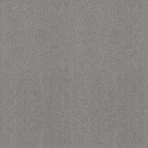 gris clair