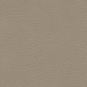 taupe clair