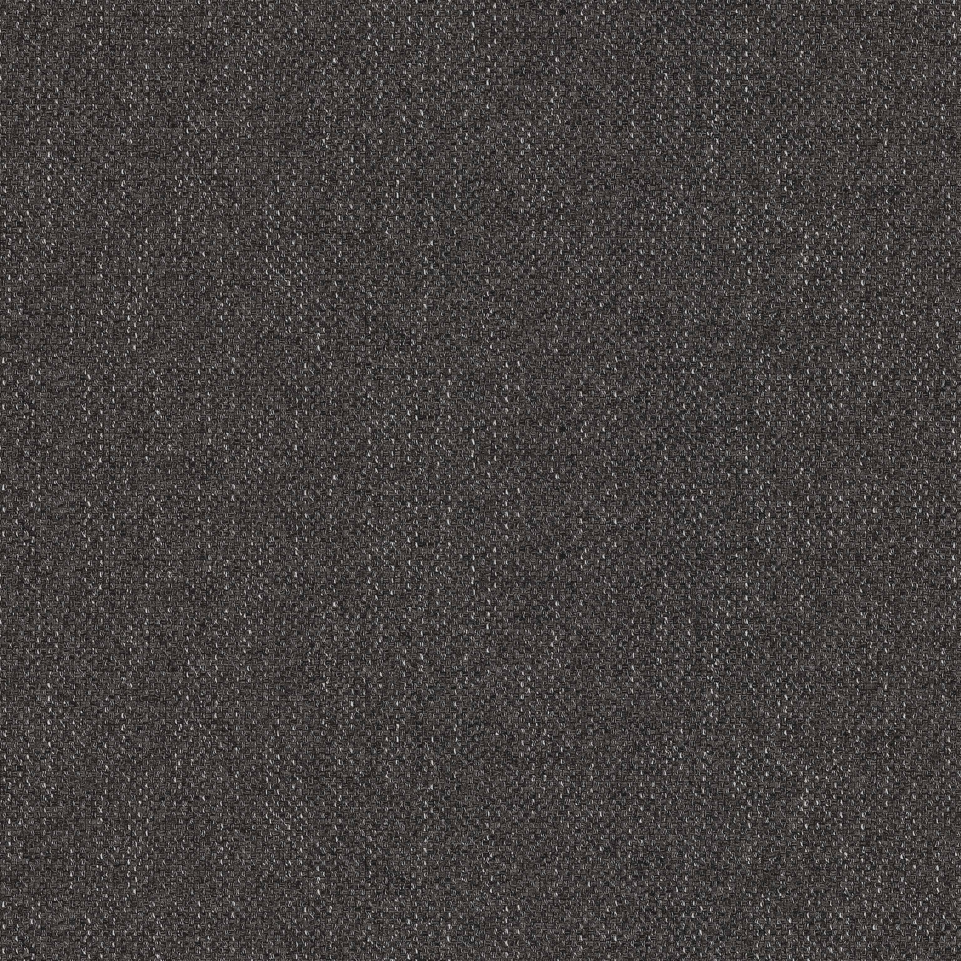 gris foncé