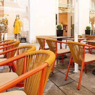 GO IN Referenz - Rinderwahn in Wien