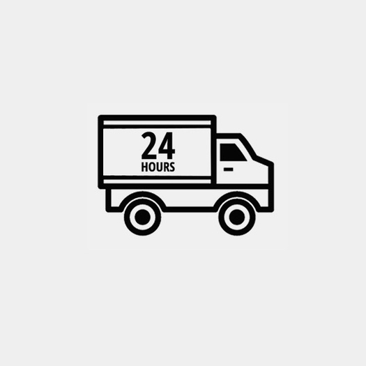 GO IN Delivery and shipping costs Express shipping