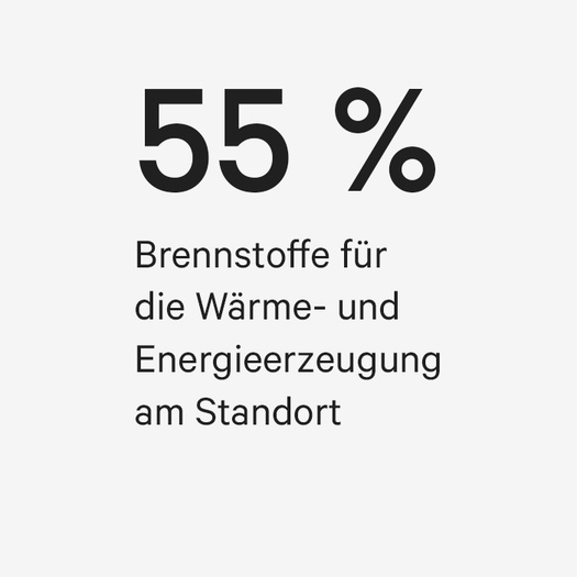 55 % der erfassten Emissionen entstehen durch Wärme- und Energieerzeugung am Standort