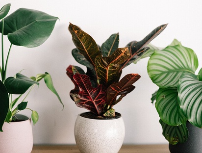 image 3er grid desktop verflochtene eleganz