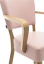 Abbildung arm chair Damara Detailansicht