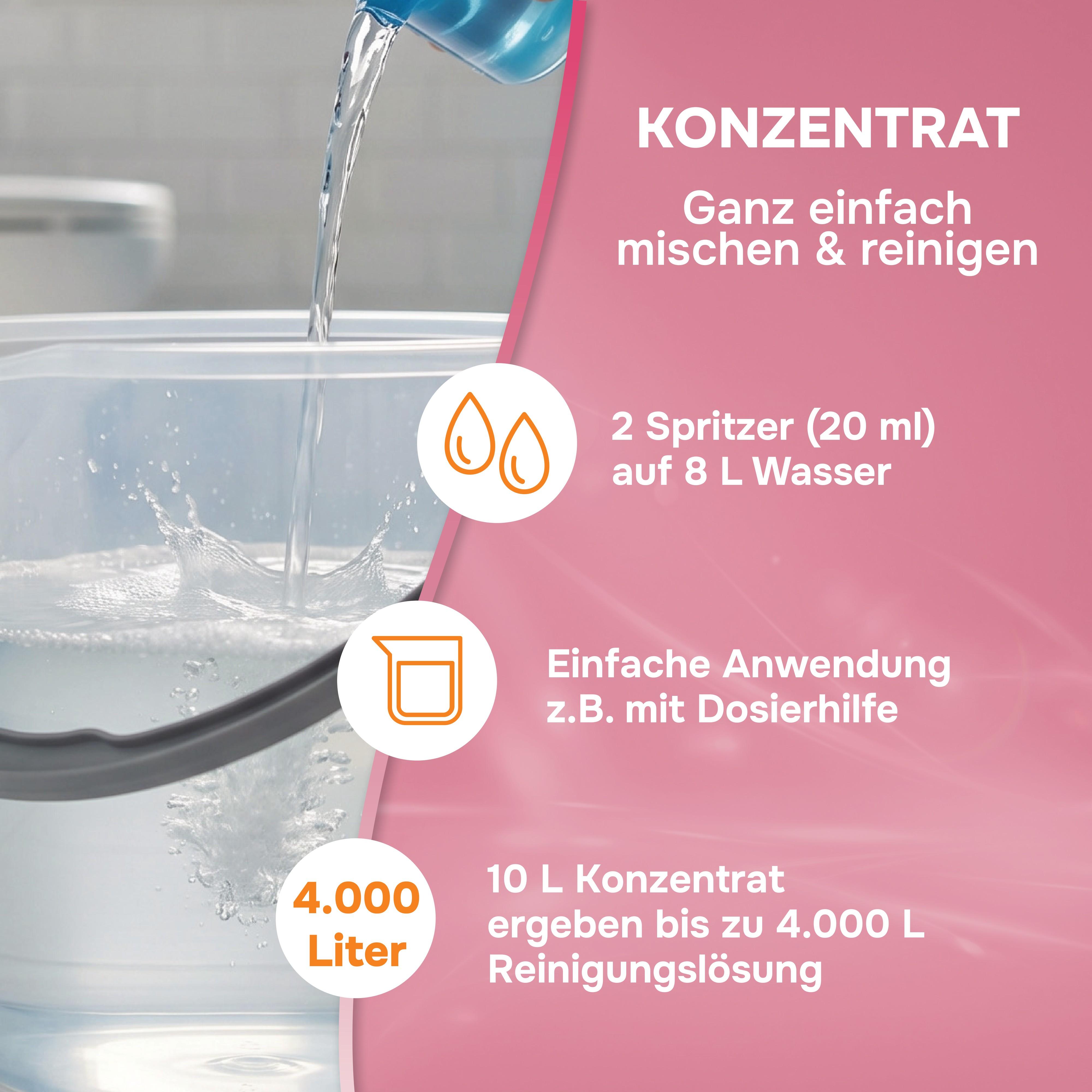 SEDAC  Badblitz Sanitär Duftreiniger 10 Liter