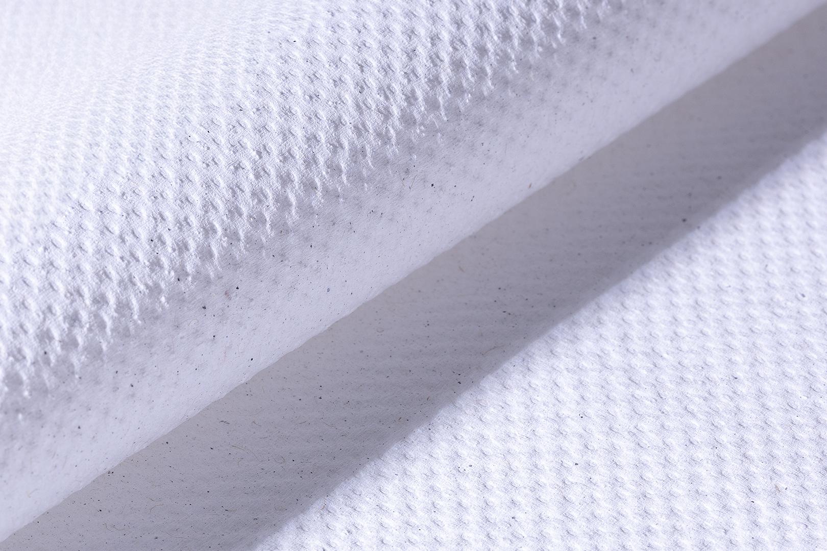 Huchtemeier - Green Hygiene - FRIEDA Falthandtücher V-Falz 2-lagig 4000 Blatt: Umweltbewusste Handhygiene für den täglichen Bedarf