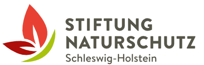 Huchtemeier - Green Hygiene - ROLF Toilettenpapier 2-lagig 36 Rollen: Umweltfreundlich, nachhaltig und effektiv