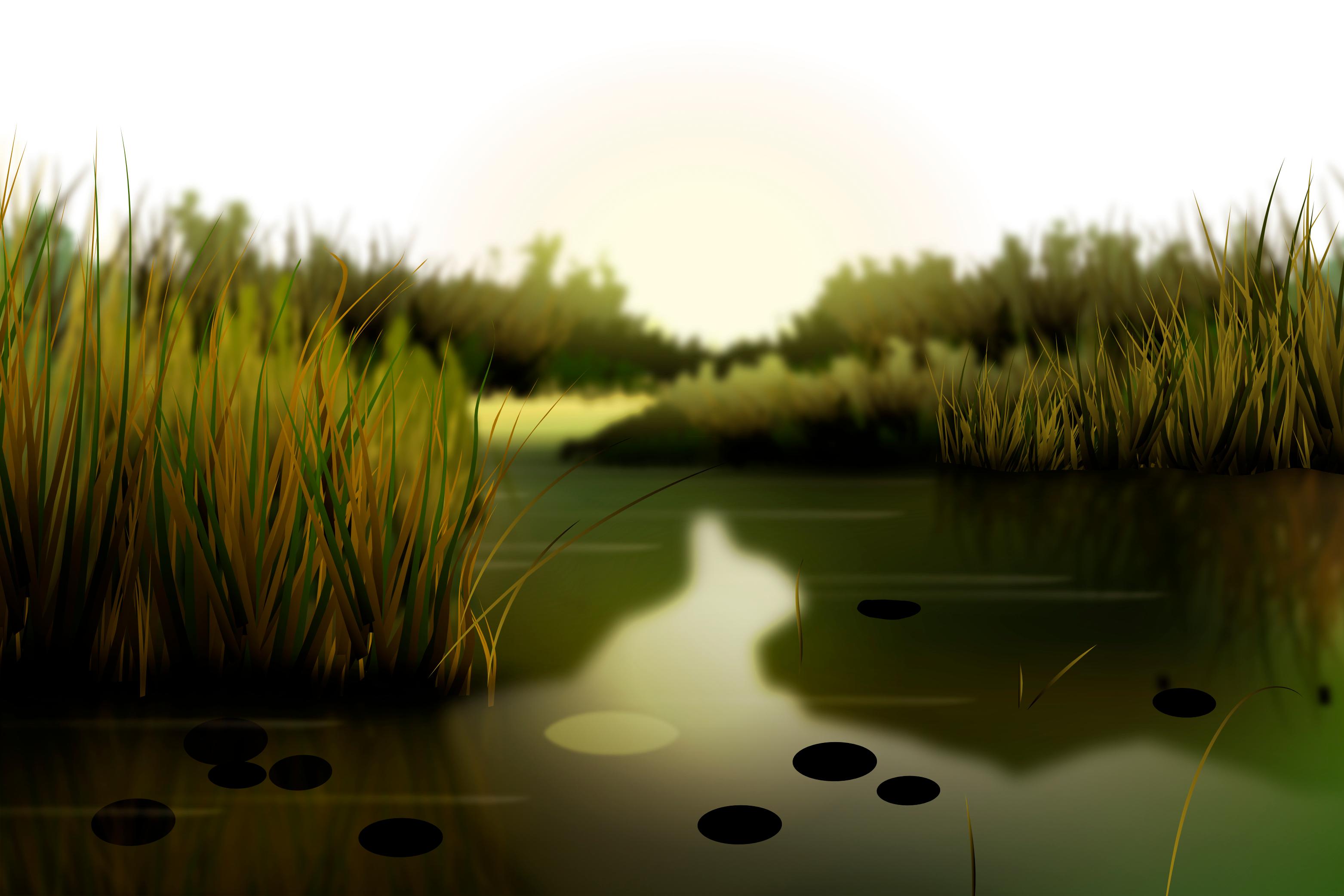 Huchtemeier - Green Hygiene - ROLF Toilettenpapier 2-lagig 36 Rollen: Umweltfreundlich, nachhaltig und effektiv